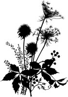 FIL001A.TIF