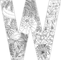 FLA023A.TIF