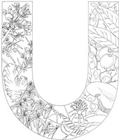 FLA021A.TIF