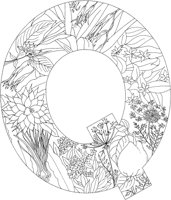 FLA017A.TIF