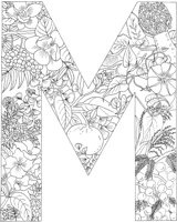 FLA013A.TIF