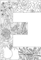 FLA005A.TIF