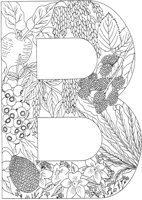 FLA002A.TIF