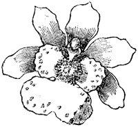 FLC030F.TIF