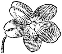 FLC030D.TIF