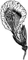 FLC029L.TIF