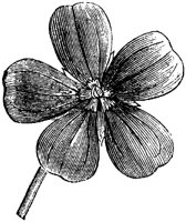 FLC028M.TIF