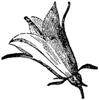 FLC028A.TIF