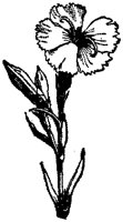 FLC026E.TIF