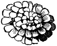 FLC024E.TIF