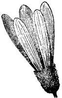 FLC023J.TIF