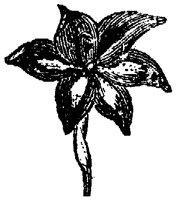 FLC023I.TIF