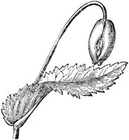 FLC022J.TIF