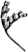 FLC021L.TIF