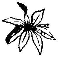 FLC021J.TIF