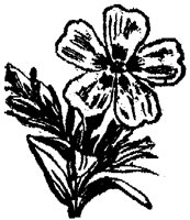 FLC021I.TIF
