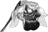 FLC021H.TIF
