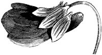 FLC021G.TIF