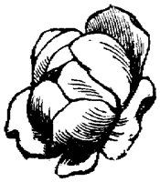 FLC021F.TIF