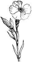 FLC020E.TIF