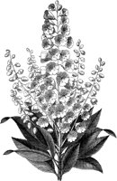 FLC020A.TIF