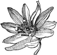 FLC019F.TIF