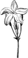 FLC018C.TIF