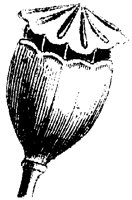 FLC017L.TIF