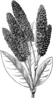 FLC016H.TIF