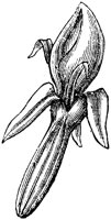 FLC015H.TIF