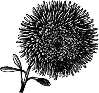 FLC015G.TIF
