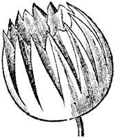 FLC014O.TIF