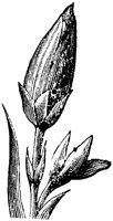 FLC014N.TIF