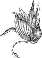FLC014I.TIF