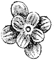 FLC014E.TIF