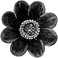 FLC014C.TIF