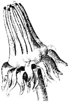 FLC012E.TIF