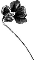 FLC010L.TIF