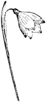 FLC010F.TIF