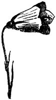 FLC006F.TIF