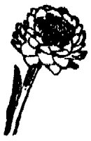 FLC005O.TIF