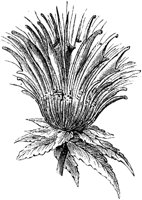FLC005L.TIF