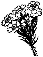 FLC005F.TIF