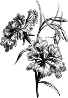 FLC004Q.TIF