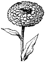 FLC004C.TIF