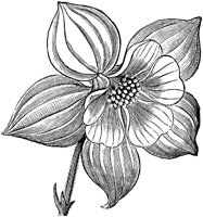 FLC003E.TIF