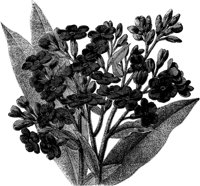 FLC002A.TIF