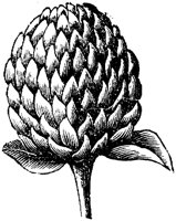 FLC001S.TIF