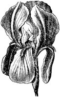 FLC001R.TIF