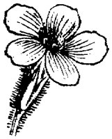 FLC001L.TIF